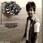 دانلود آهنگ حمید احدی دل ساده