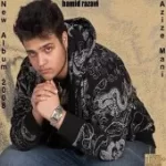 دانلود آهنگ حمید رضوی برگرد تو پیشم