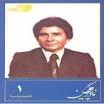 دانلود آهنگ نادر گلچین افسوس