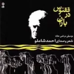 دانلود آهنگ احمد شاملو Track 6