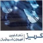 دانلود آهنگ نادر گلچین دکلمه و آواز