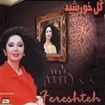 دانلود آهنگ  دیگر مردش اون روزها { به همراه متن و پخش آنلاین }