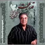 دانلود آهنگ  درویش { با دو کیفیت 320 و 128 }