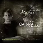 دانلود آهنگ مهدی قنبری تقاص