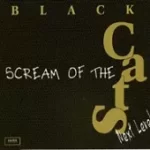 دانلود آهنگ گروه بلک کتس عاقبت دانلود آهنگ گروه بلک کتس عاقبت