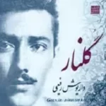 دانلود آهنگ داریوش رفیعی منو خموشی