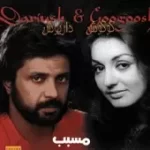 دانلود آهنگ داریوش مسبب دانلود آهنگ داریوش مسبب