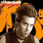 دانلود آهنگ علی عبدالمالکی دیوونه