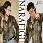 دانلود آهنگ گروه حمید رضا و علیرضا سیم آخر