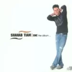 دانلود آهنگ شهاب تیام صد دفعه گفتم