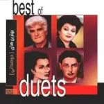 دانلود آهنگ داریوش رفیعی بردی از یادم(دلکش و ویگن)